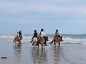 DSC_1062.JPG